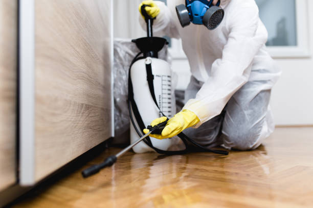 Best Cockroach Control Services  in Greentown, IN