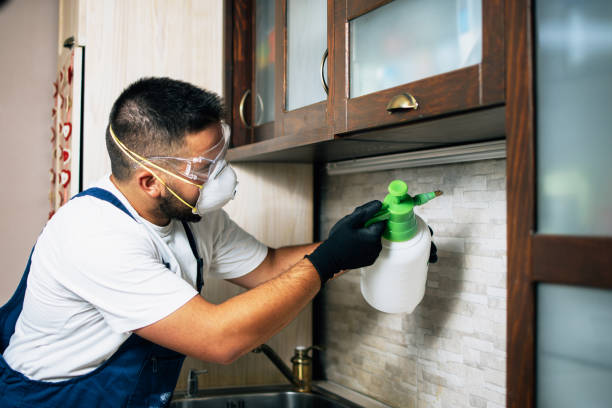 Best Pest Inspection Near Me  in Greentown, IN