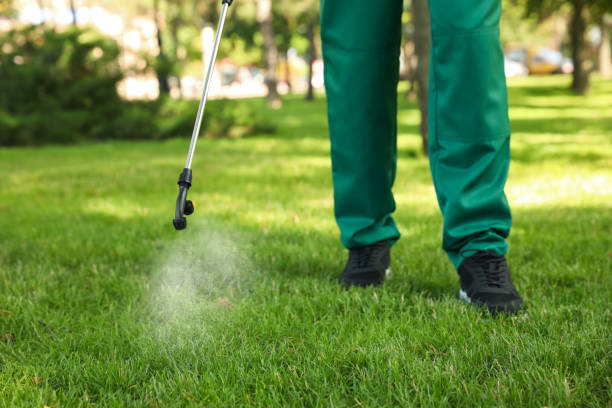 Best Affordable Pest Control Services  in Greentown, IN