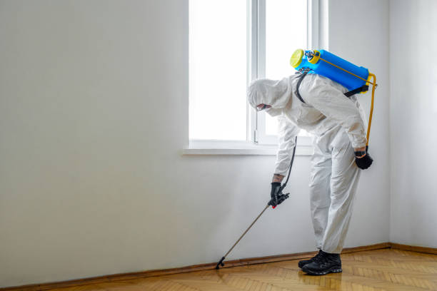 Professional Pest Control in Greentown, IN