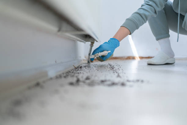 Best Pest Control Treatment  in Greentown, IN