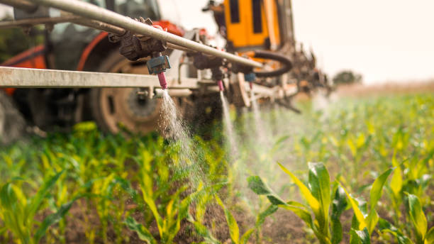 Best Pest Removal Services  in Greentown, IN